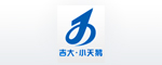 長春吉大·小天鵝